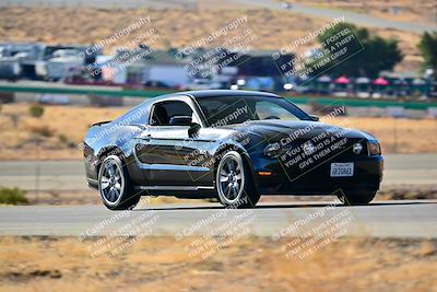 media/Nov-16-2024-Extreme Speed (Sat) [[6587d07cc4]]/Gold Group/Session 1 (Turn 2)/